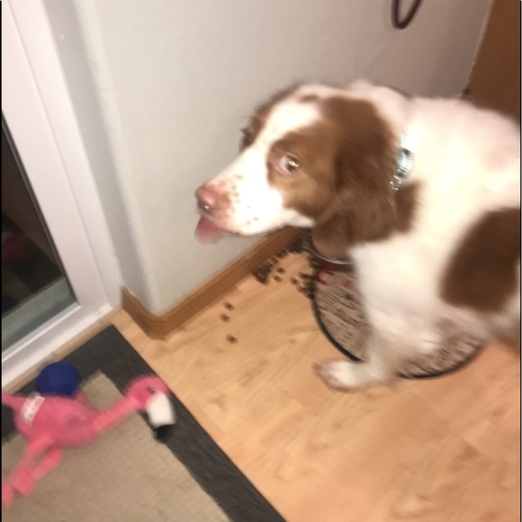 Profile Picture of Drew Turner (@jrue53) on Poshmark