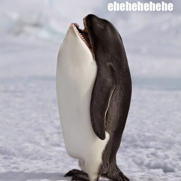 Elizabeth Chleborad - Poshmark Profile Picture of Elizabeth Chleborad (@ebclizard10) on Poshmark