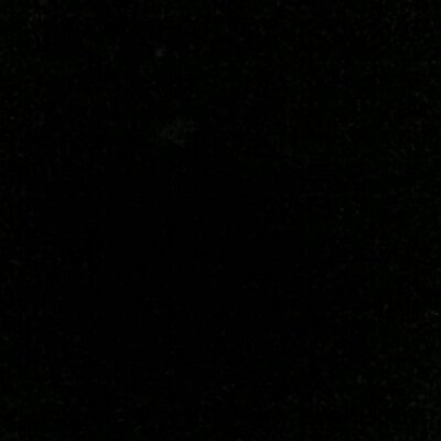 Profile Picture of Mary Ann Thaler (@soaringfeather) on Twitter