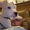 Profile Picture of Jeff Fraley (@@tacotouchdown92) on Tiktok