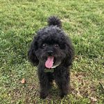 Profile Picture of Ivy Kwok (@ivykwokkwok) on Instagram