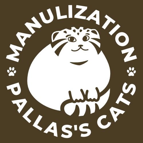 Profile Picture of romanpaulov (@romanpaulov) on Tiktok