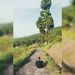 Profile Picture of Nathan Derrick (@nathannecib) on Pinterest