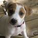 Profile Picture of David McCreight (@david.mccreight.378) on Facebook