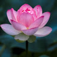 Profile Picture of Lorraine Grayson (@lorraine-grayson-1) on Quora