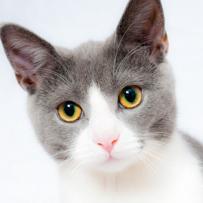 Profile Picture of Juan Clemente (@juanclemente82) on Twitter