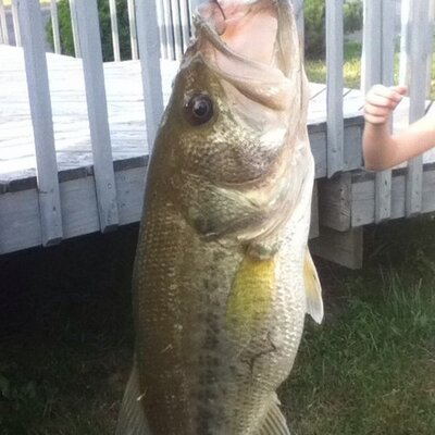 Profile Picture of Chad Starrett (@chad_starrett) on Twitter