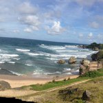 Stephen Purvis - Instagram Profile Picture of Stephen Purvis (@jaspa1) on Instagram