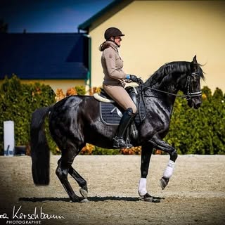 Profile Picture of Amanda Hartung (@amanda_hartung) on Instagram