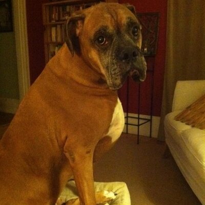 Mark J Garner - Twitter Profile Picture of Mark J Garner (@mark_kris) on Twitter