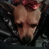 Profile Picture of SammyCain5 (@sammycain3) on Tiktok