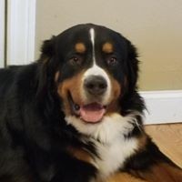 Profile Picture of Tara Malcolm (@tara-malcolm-3) on Quora