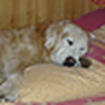 Profile Picture of Sue Milnes (@Peter and Susy Milnes) on Flickr