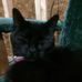 Profile Picture of Maryjo Crain (@maryjo.crain.3) on Facebook