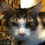 Profile Picture of Cecil Adams (@cecil.adams.7505) on Instagram