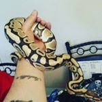 Profile Picture of danny friend (@friend.danny) on Instagram