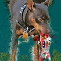 Profile Picture of Joey Macias (@joey-macias-12) on Quora