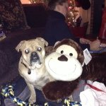 Profile Picture of Kate Killian#8 Winston Strong (@kek_killian) on Instagram