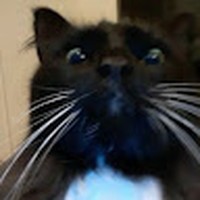 Profile Picture of Jessica Paddock (@jessica-paddock-6) on Quora
