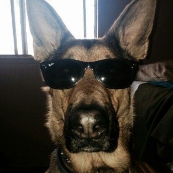 Profile Picture of Mike Spearing (@21shinegreen45) on Poshmark