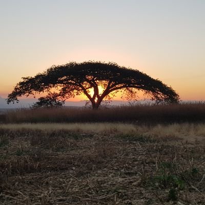 Profile Picture of Nick Reitz (@reitz_nick) on Twitter