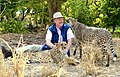 Profile Picture of William Habrakenon Wikipedia