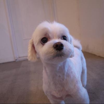 Profile Picture of Moco (@jean11hana) on Twitter
