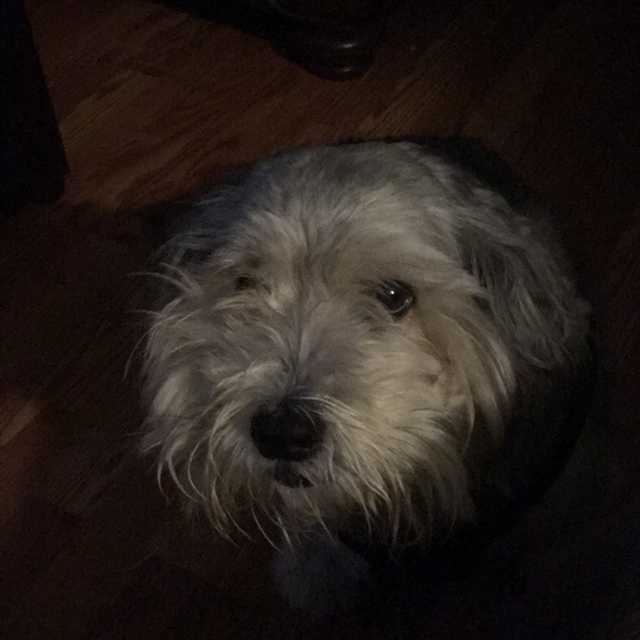 Profile Picture of Wayne Welsh (@supermod) on Poshmark