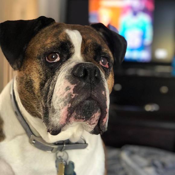 Profile Picture of Tyler Arruda (@arrudat) on Poshmark