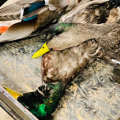 Profile Picture of Allison Wilcox (@allisonwilcox5031) on Youtube