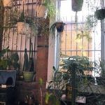 Profile Picture of ✬ august ✬ (@august.j.hudson) on Instagram