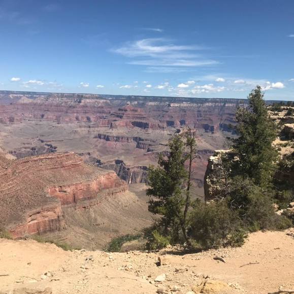 Profile Picture of Hilary Brockley (@hilarybrockley) on Poshmark