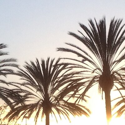 Profile Picture of Deborah Liddle (@dliddle) on Twitter