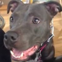 Profile Picture of Dawna Harrison (@dawna-harrison-1) on Quora