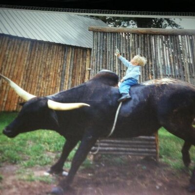 Profile Picture of Greg Randall (@milkthistleface) on Twitter