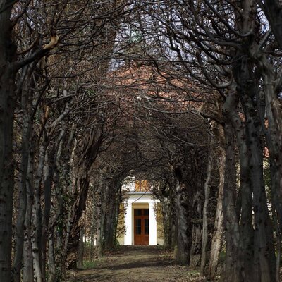 Profile Picture of Robert Kuchinsky (@RKuchinsky) on Twitter