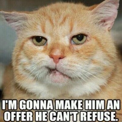 Profile Picture of Kyle Hodson (@kybear23) on Twitter