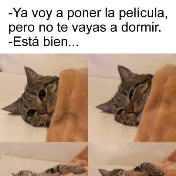 Profile Picture of Jose Almaraz (@josealmaraz255) on Poshmark