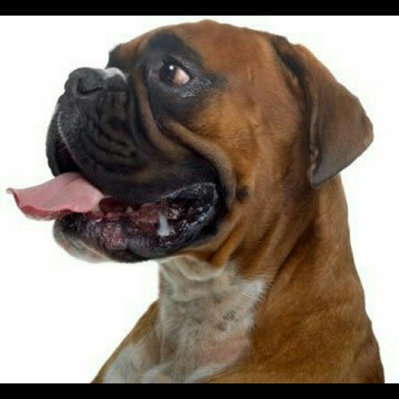 Profile Picture of Elizabeth Krause (@ekrause6) on Poshmark