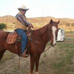 Profile Picture of Bill Hull (@new_life_ranch_horsemenship) on Instagram