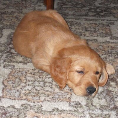 Profile Picture of Peter Blackman (@PeterMBlackman) on Twitter