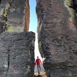 Profile Picture of David Flaherty (@grapesandgrains) on Instagram