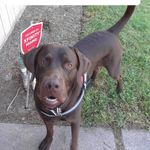 Profile Picture of Kerwin Williams (@koolkook58) on Instagram