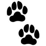 Profile Picture of Laurence Charton (@laurence.charton.90) on Facebook