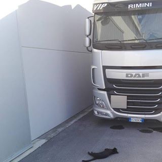 Antonio Chironi - Facebook Profile Picture of Antonio Chironi (@antonio.chironi.58) on Facebook