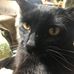 Profile Picture of Jonathan Rigg (@jonathan.rigg.980) on Facebook