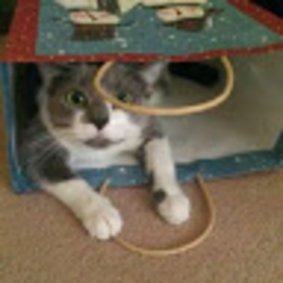 Profile Picture of Jackie Campione (@camp0422) on Poshmark