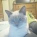 Profile Picture of Sandra Strader (@sandra.strader.3) on Facebook
