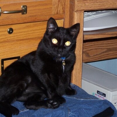 Profile Picture of Scott Daugherty (@mscottdaugherty) on Twitter