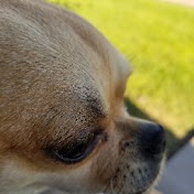 Profile Picture of Joe Meredith (@joemeredith9895) on Youtube